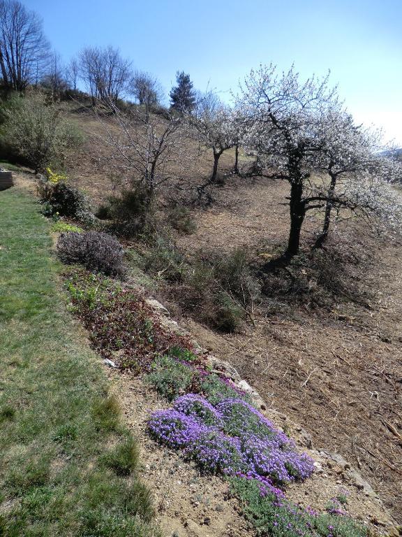 La Bastide De Fontaille Acomodação com café da manhã Saint-Félicien Exterior foto