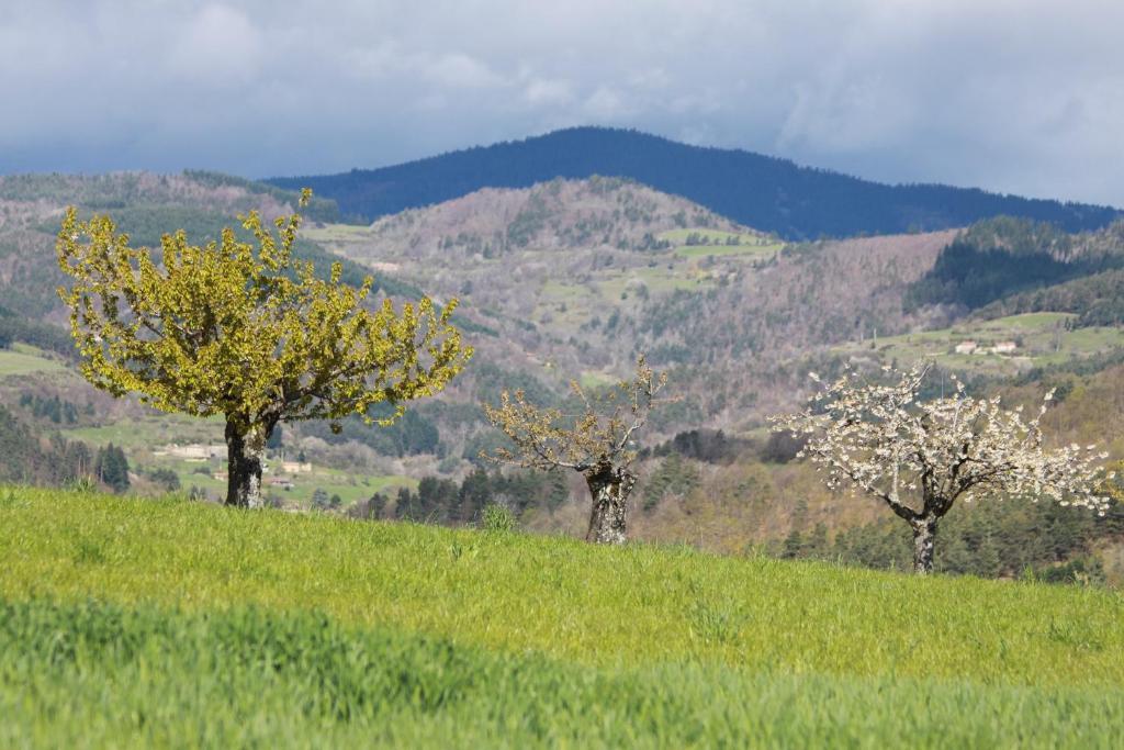 La Bastide De Fontaille Acomodação com café da manhã Saint-Félicien Exterior foto